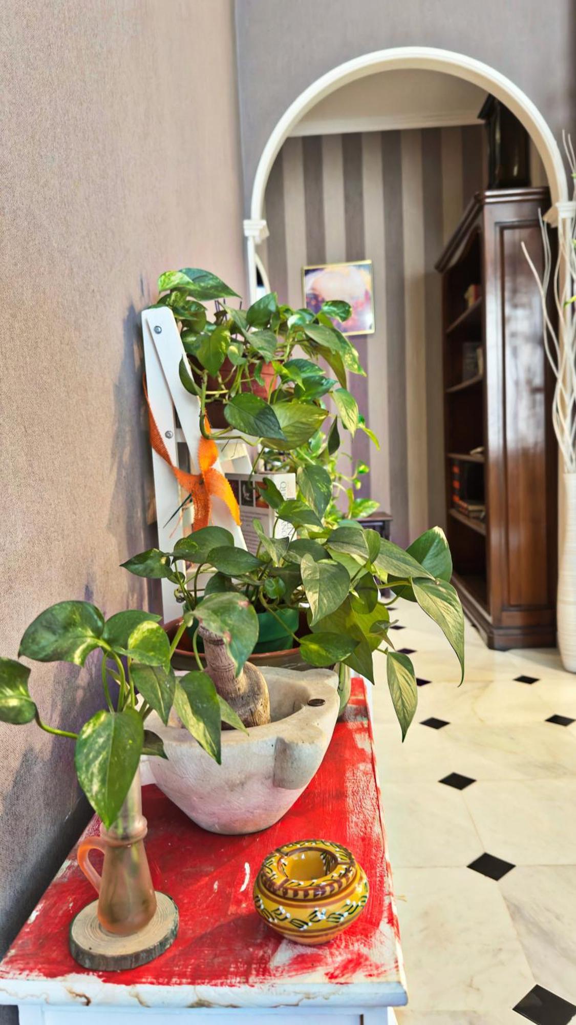 Apartment Dalla Spiaggetta A Quinto *